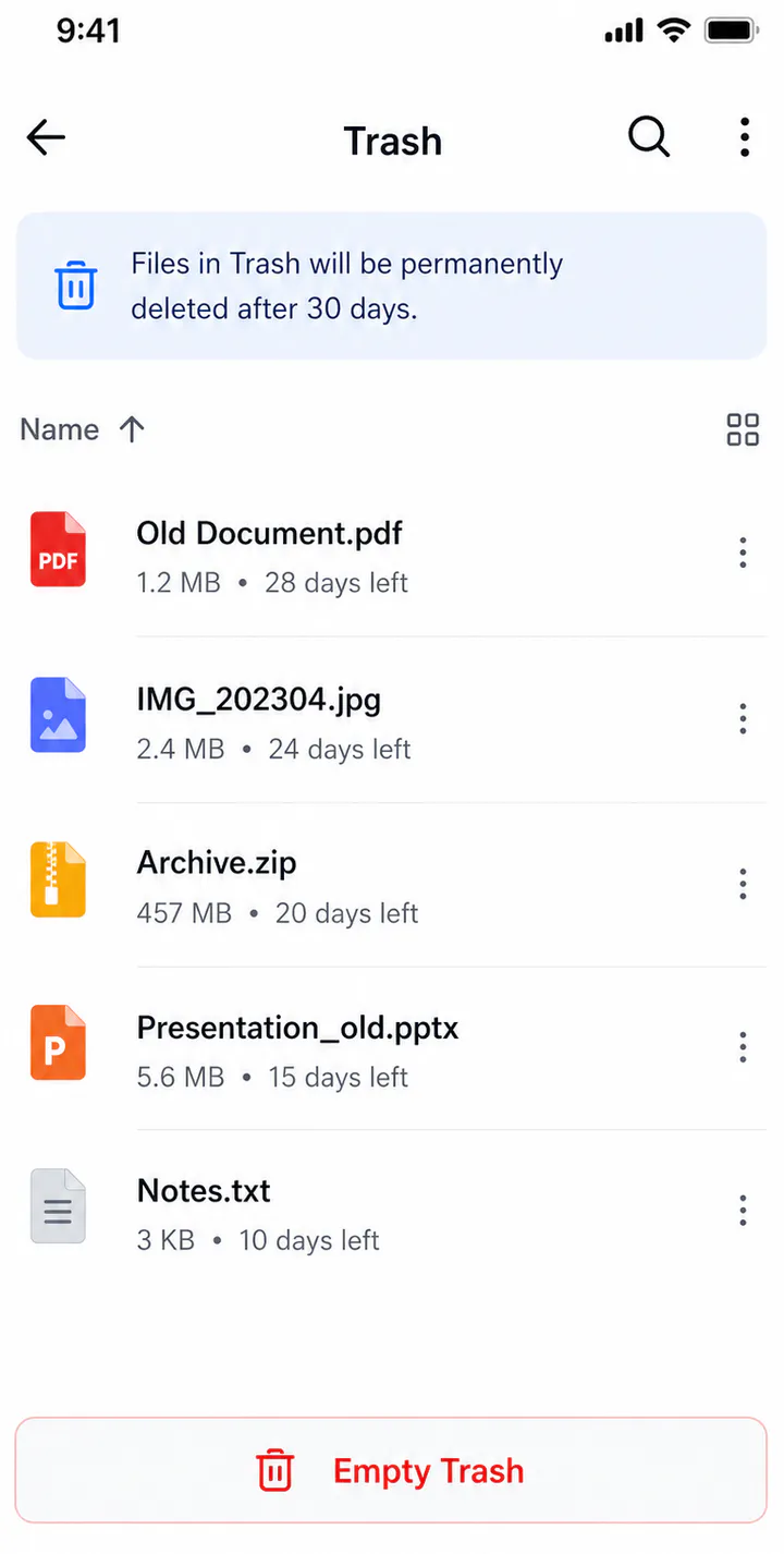 Fileora project view 4
