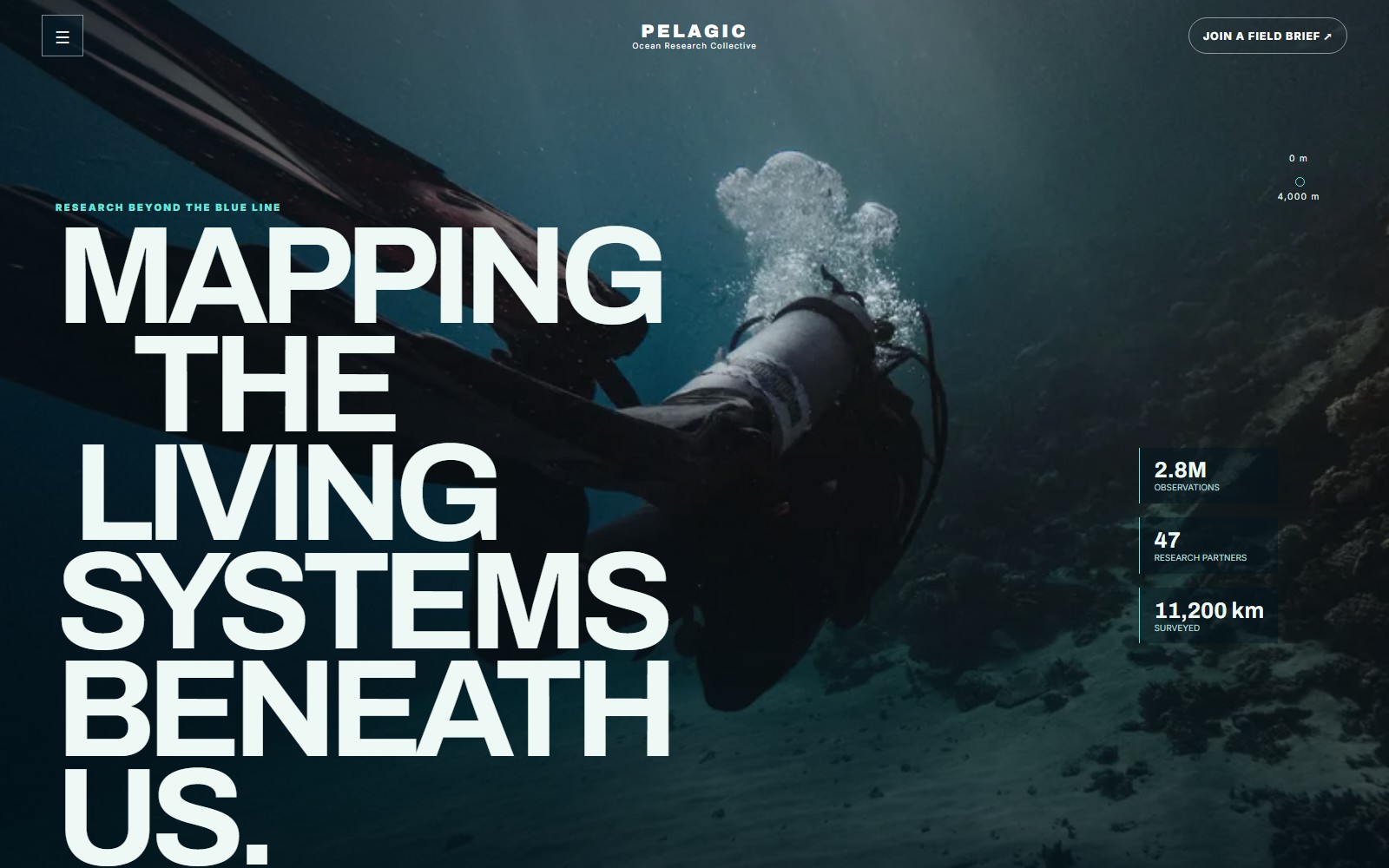 Pelagic website preview