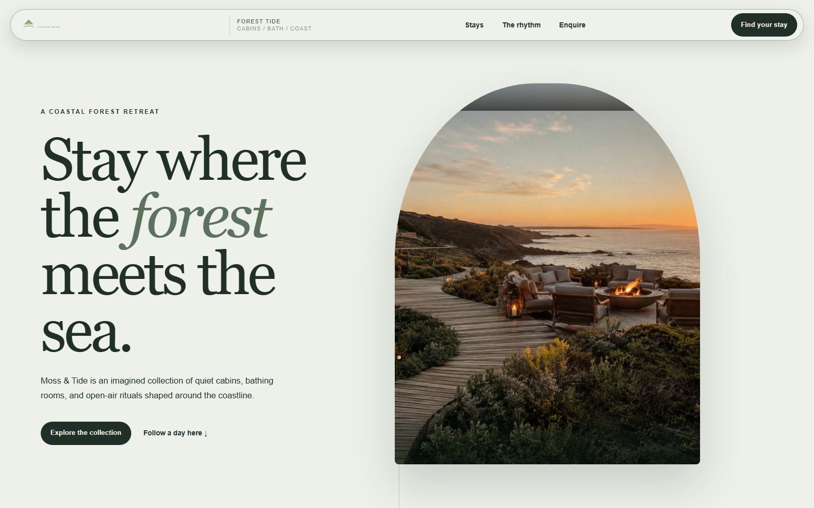 Moss & Tide website preview